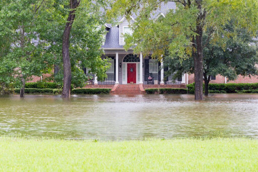 Why Choose These Flood Cleanup Techniques?